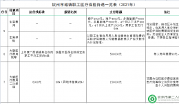 欽州市城鎮(zhèn)職工醫(yī)療保險(xiǎn)待遇一覽表（2021年）