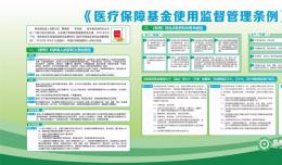 《醫(yī)療保障基金使用監(jiān)督管理?xiàng)l例》